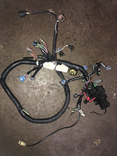 Ecu cablaggio motore - ecu,
