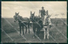 Roma Città Mestieri Attacco