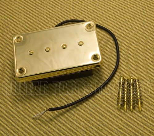Ebc gold alnico 5 - gold,