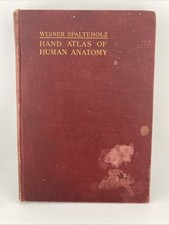 Werner Spalteholz - Hand Atlas