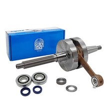MF9206 Albero Motore Polini