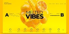Native Instruments - Melted