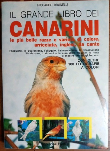 Grande libro dei - grande,
