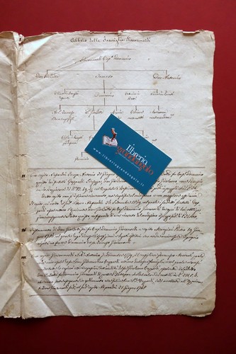 Albero genealogico manoscritto - albero,