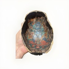 Bellissimo antico buddismo tantrico Mahakala Kapala dipinto a mano Tibet