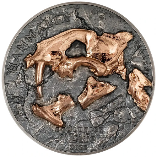 Moneta argento nimravidae - argento,