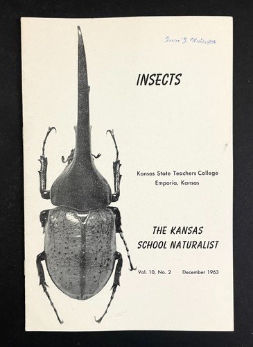 1963 insetti coleotteri mosche - 1963,