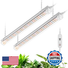 Bstrip T8 Luce di