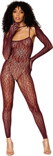 Dreamgirl BodyStocking a rete