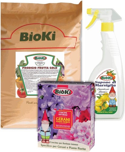 Kit con prodigio - , frutta