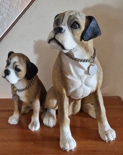 Leonardo boxer dog puppy - "boxer, &