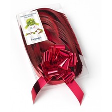 Fiocco Rapido Lucido Rosso per