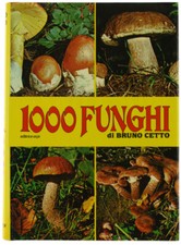 1000 funghi cetto bruno - funghi.,