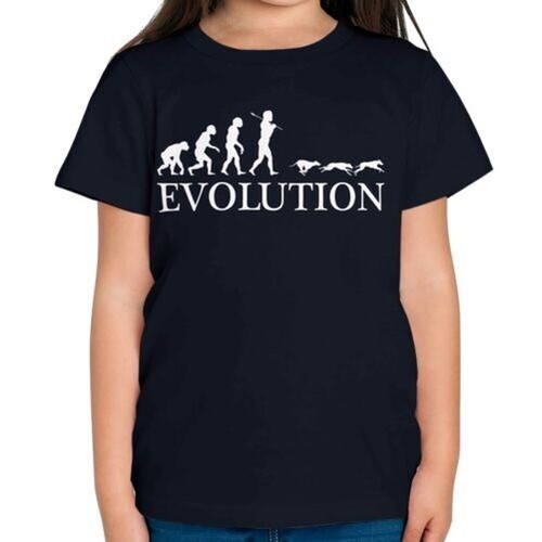 Levriero corsa evolution - levriero,