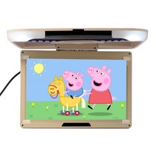Monitor LCD da tetto