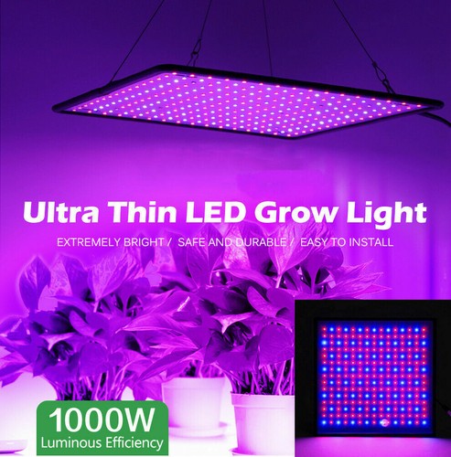 Luce led coltivazione 1000w - luce,