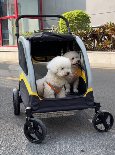Passeggino per cani xxl - passeggino,