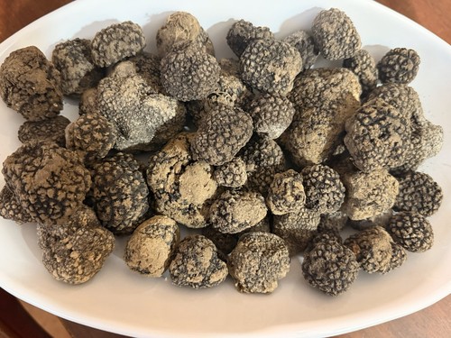 500 tartufo nero fresco - nero,