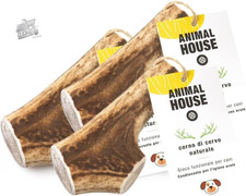3 Piece Deer Horns for Whole