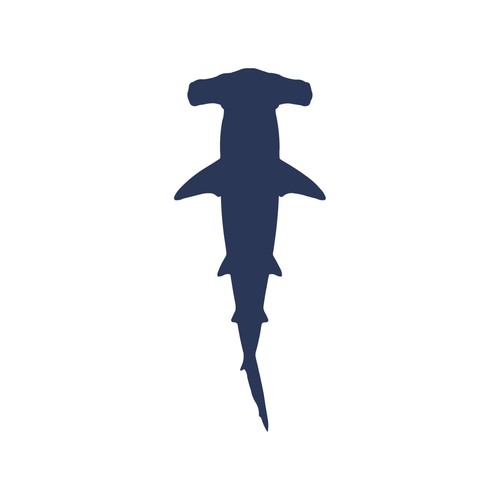 Adesivo vinile hammerhead - vinile,