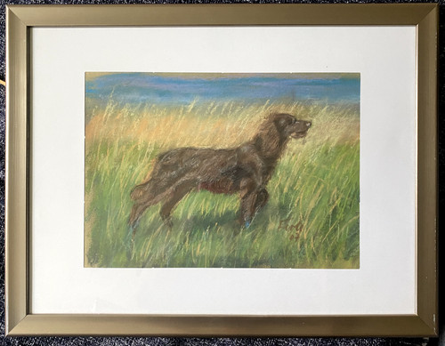 Pastello cane setter - cane, sulla