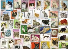 150 GATTI TUTTI DIVERSI SU
