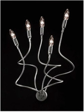 CATELLANI & SMITH - Turciù 5