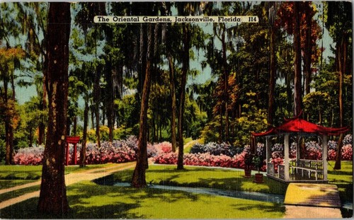Oriental gardens jacksonville - gardens,