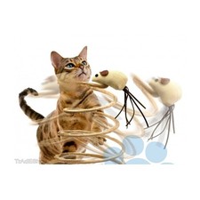 GIOCO CON PUPAZZO TOPO