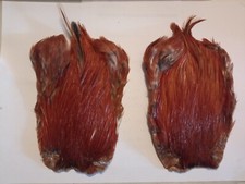 2 COLLI DI GALLO BROWN 