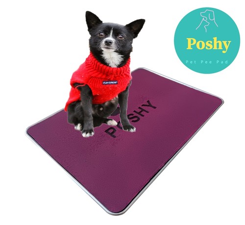 Poshy pee pad per cani - pee,