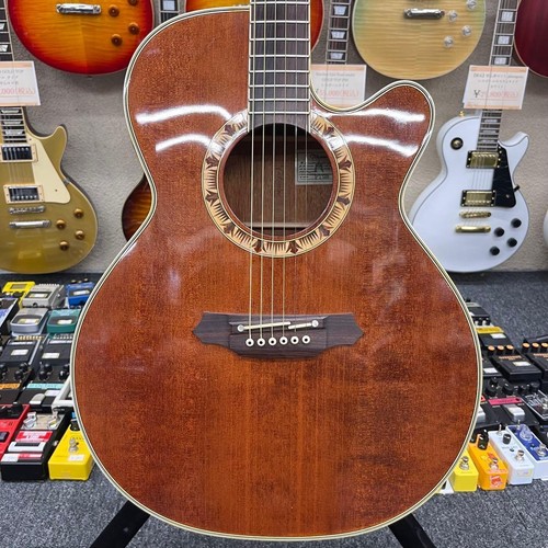 Chitarra elettrica acustica