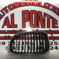 51137179655 Griglia SX BMW