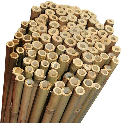Canne bambù bamboo per - bambù,