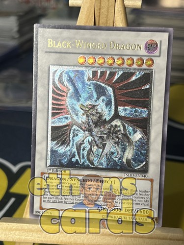 Black winged dragon tshd - black-winged,