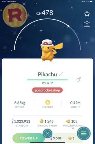 Shiny pikachu leaf hat costume - leaf,