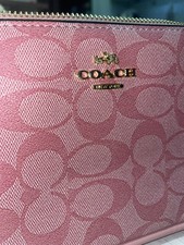 Borsa Coach