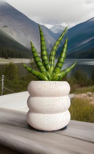 Pianta succulenta artificiale - pianta,