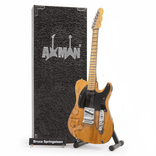Bruce springsteen distressed - bruce,