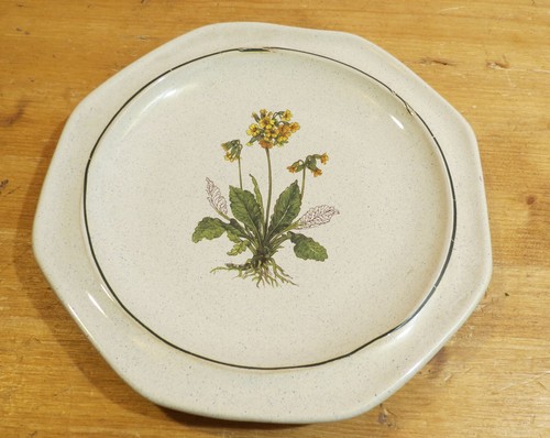 Vecchio piatto ceramica - piatto,