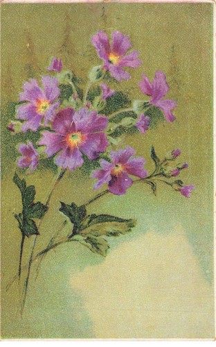 Fiori mk663 bouquet - fiori, di