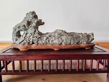 Suiseki calcare marnoso