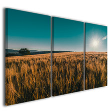 Quadri moderni Val d'Orcia IV