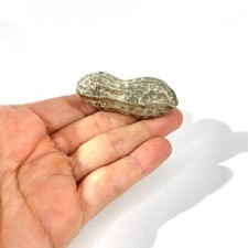 Portapillole vintage messicano a forma di arachidi in argento sterling, portapillole marcato