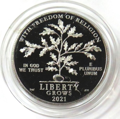 2021 platinum usa - w,