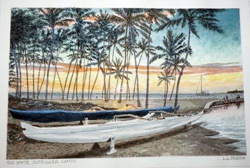 Quadro acquerello hawaii the - hawaii,