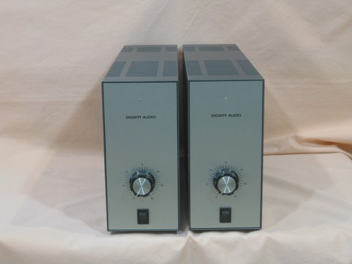 Coppia amplificatori mono - di,