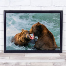 bears Fighting water action