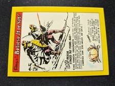 1970 Rainbo Ripley's Believe