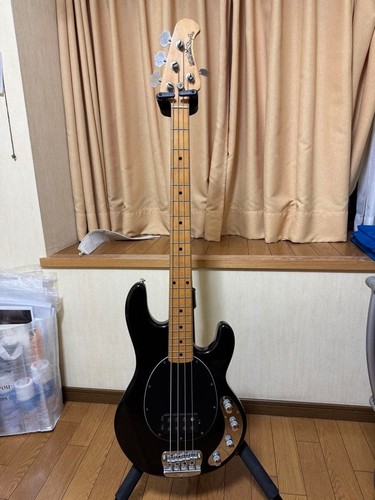 Ernieball musicman stingray - ernieball,
